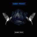 Rabbit Project专辑