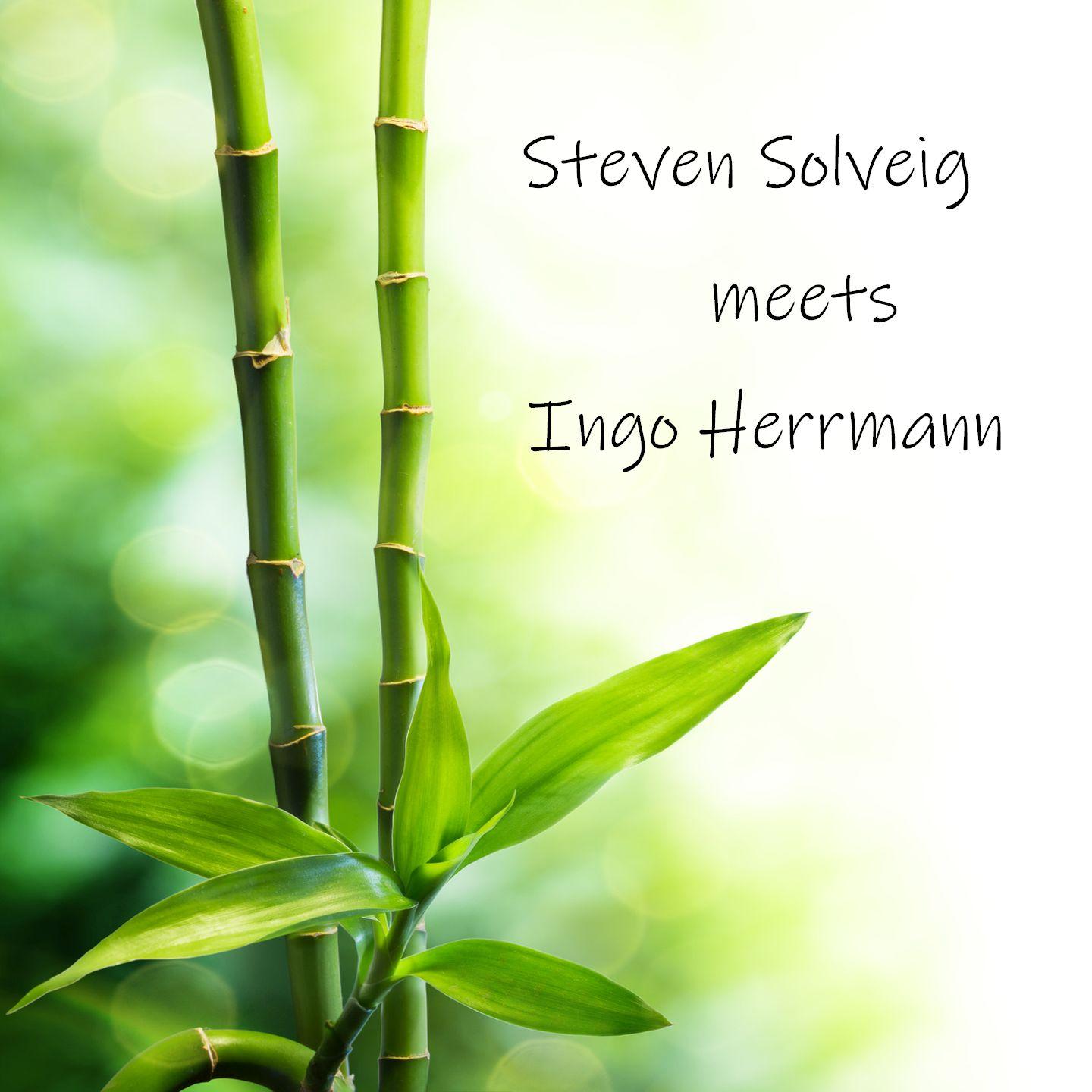 Steven Solveig Meets Ingo Herrmann