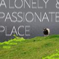 A Lonely&Passionate Place