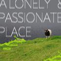 A Lonely&Passionate Place专辑