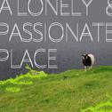 A Lonely&Passionate Place专辑