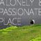 A Lonely&Passionate Place专辑