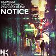 Notice (feat. Grant Dawson & Veronica Bravo)