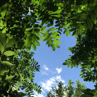[DJ节目]lambertling的DJ节目 第38期
