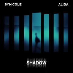 Syn Cole,Alida《Shadow吉他谱》降E调_音符轻盈流畅