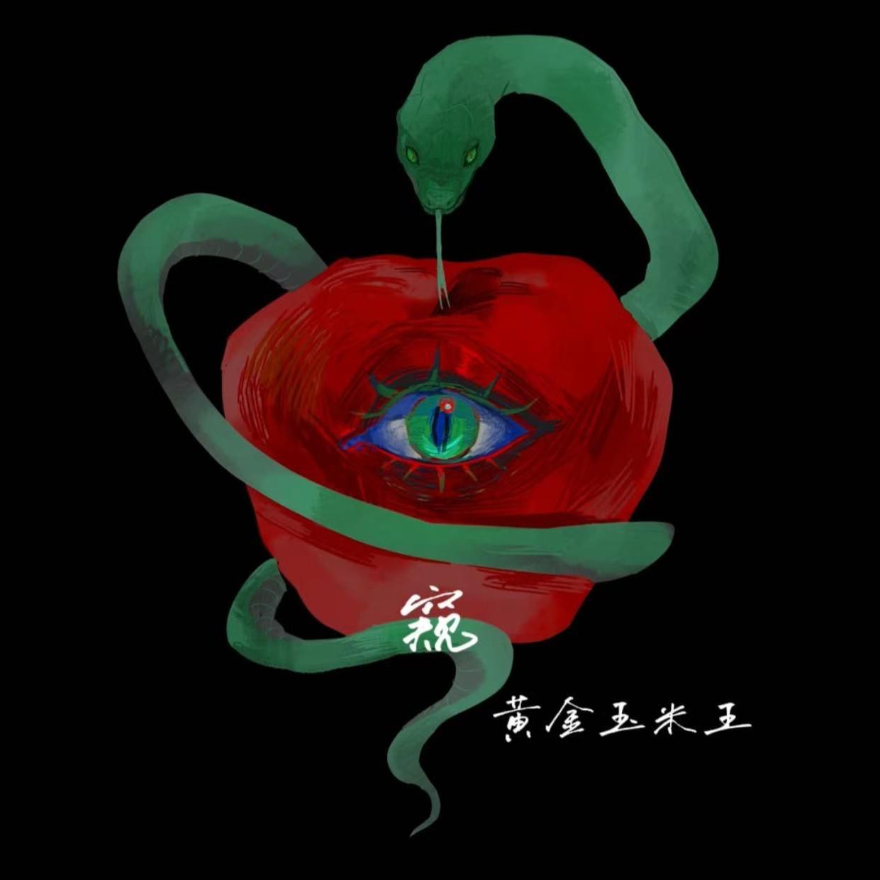 窥