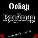 Runaway (U & I) (Ookay Remix)专辑