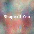 Shape of You