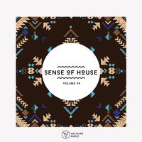 Sense of House, Vol. 44