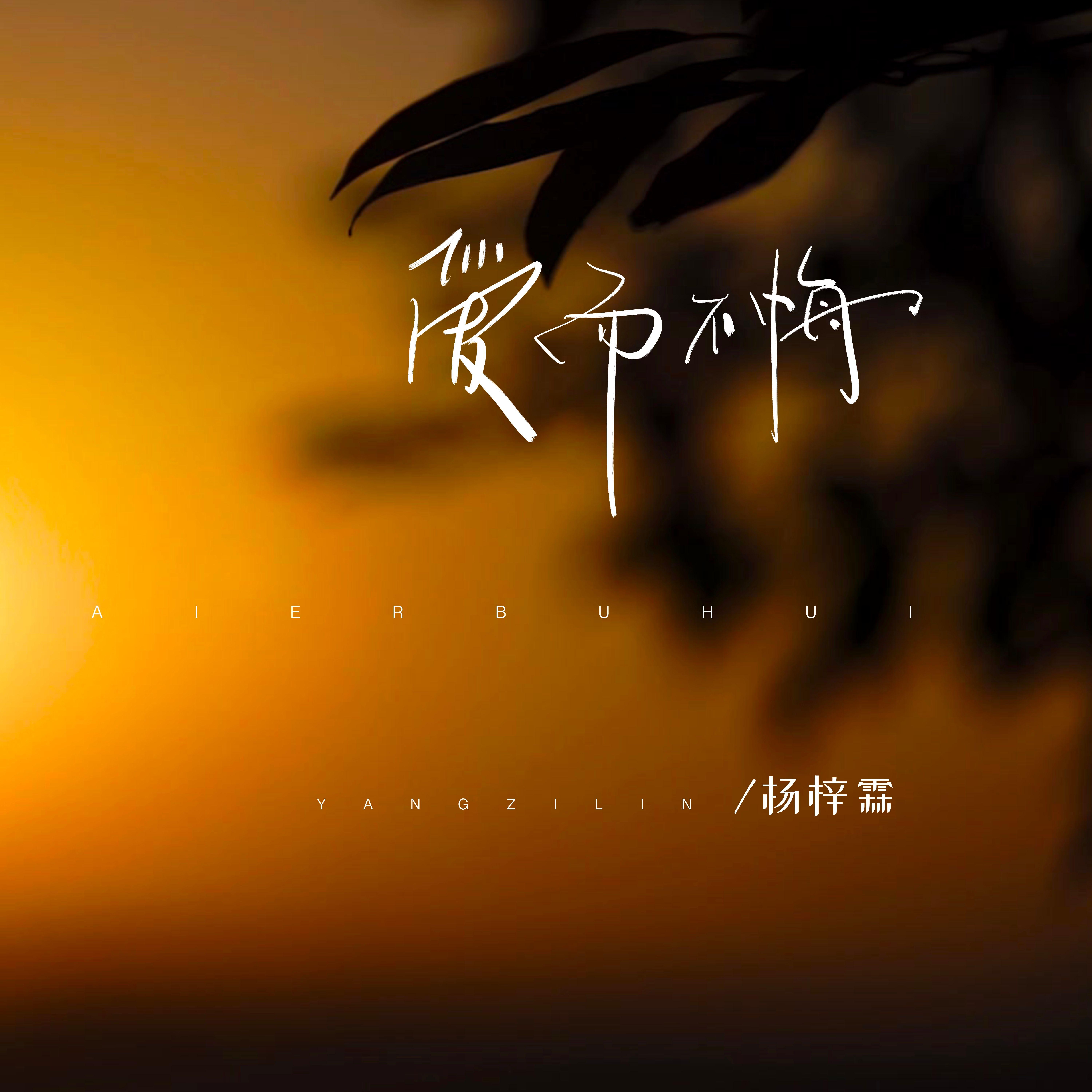 爱而不悔