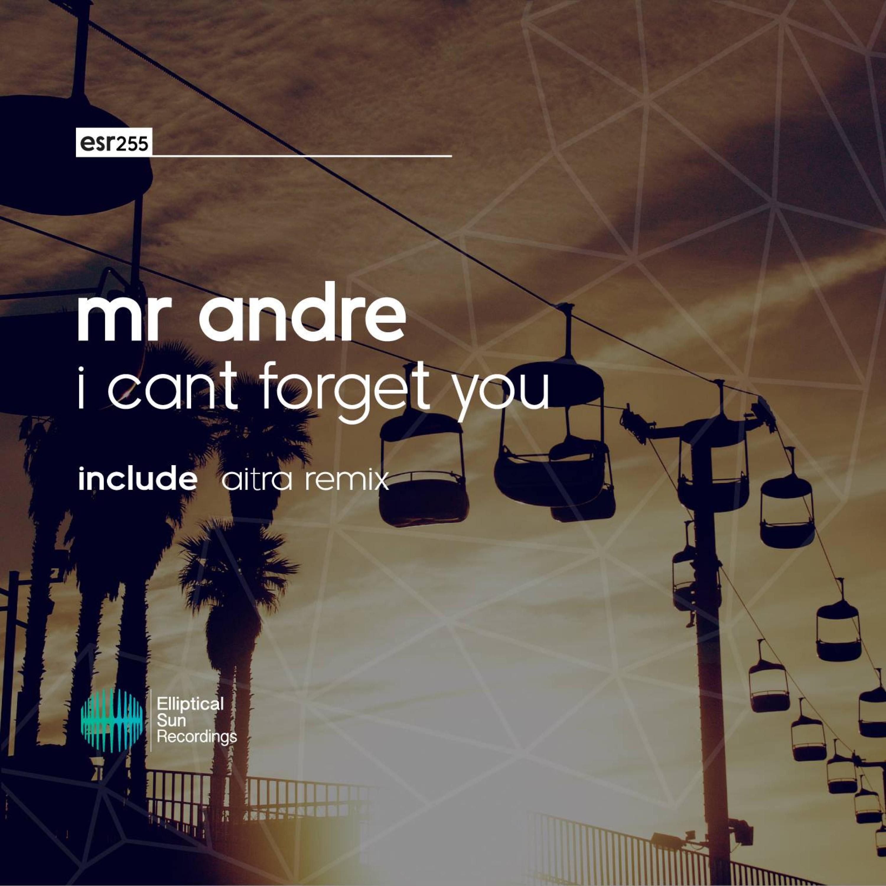 I Can't Forget You