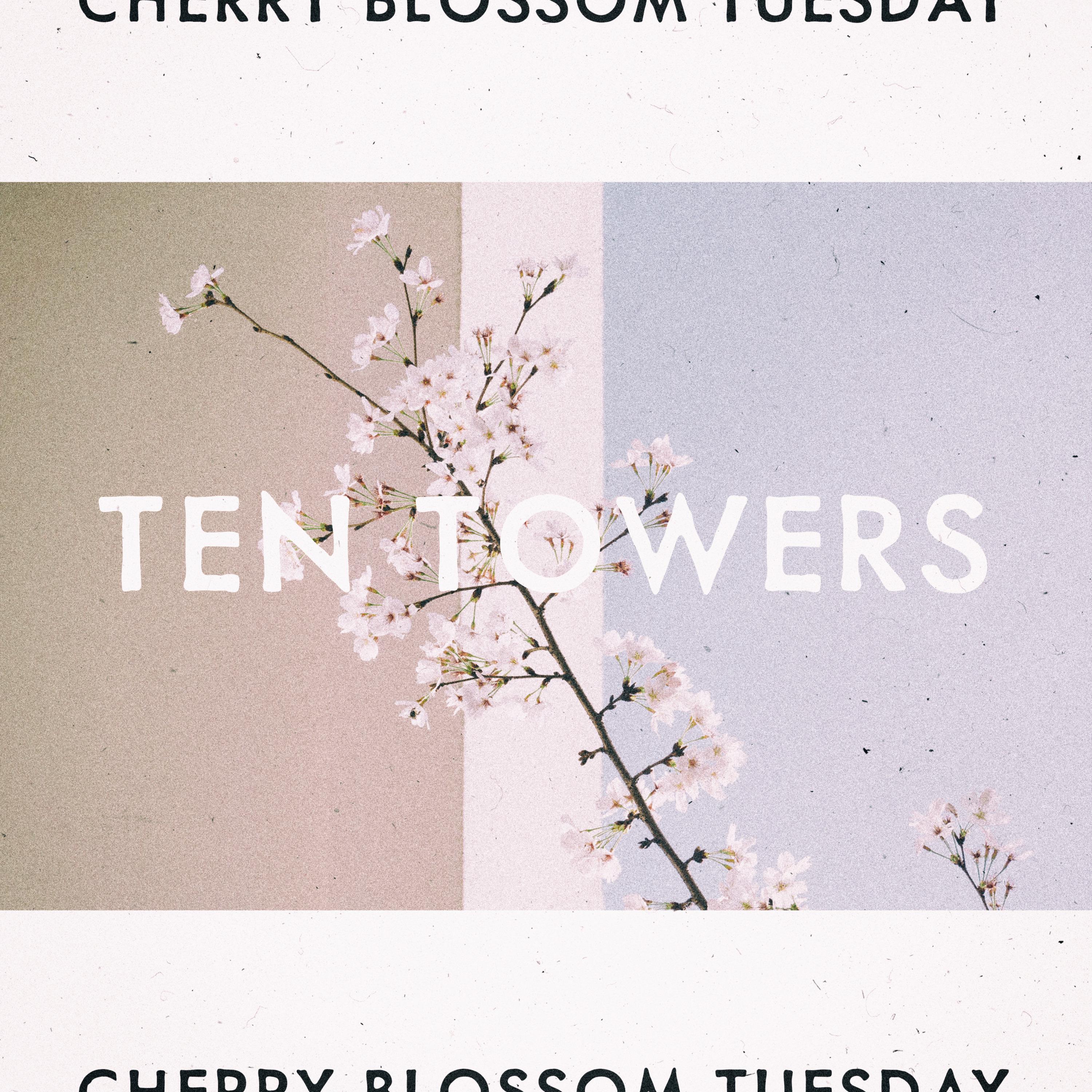 Cherry Blossom Tuesday专辑