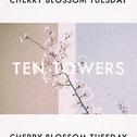 Cherry Blossom Tuesday专辑