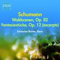 SCHUMANN, R.: Waldszenen / Fantasiestücke (excerpts) (Richter) (1956)专辑