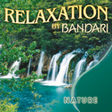 Relaxation - Nature专辑