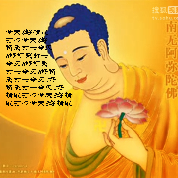 海洲湾音乐归乡悦信徒8卡点传送门