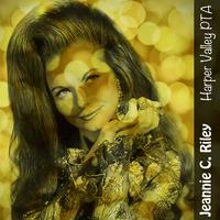 Jeannie C.Riley - Harper Valley PTA