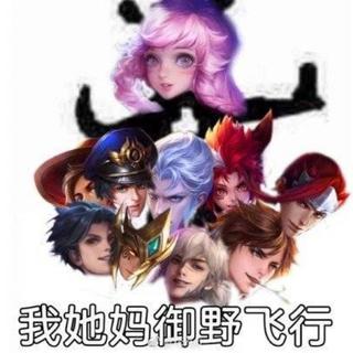 王者荣耀必备（贼秀）