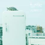 turtle专辑