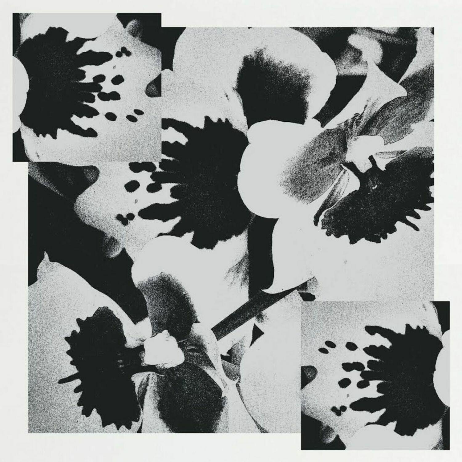 Severed Together