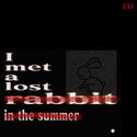 I met a lost rabbit in the summer.