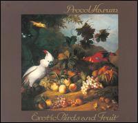 Exotic Birds and Fruit