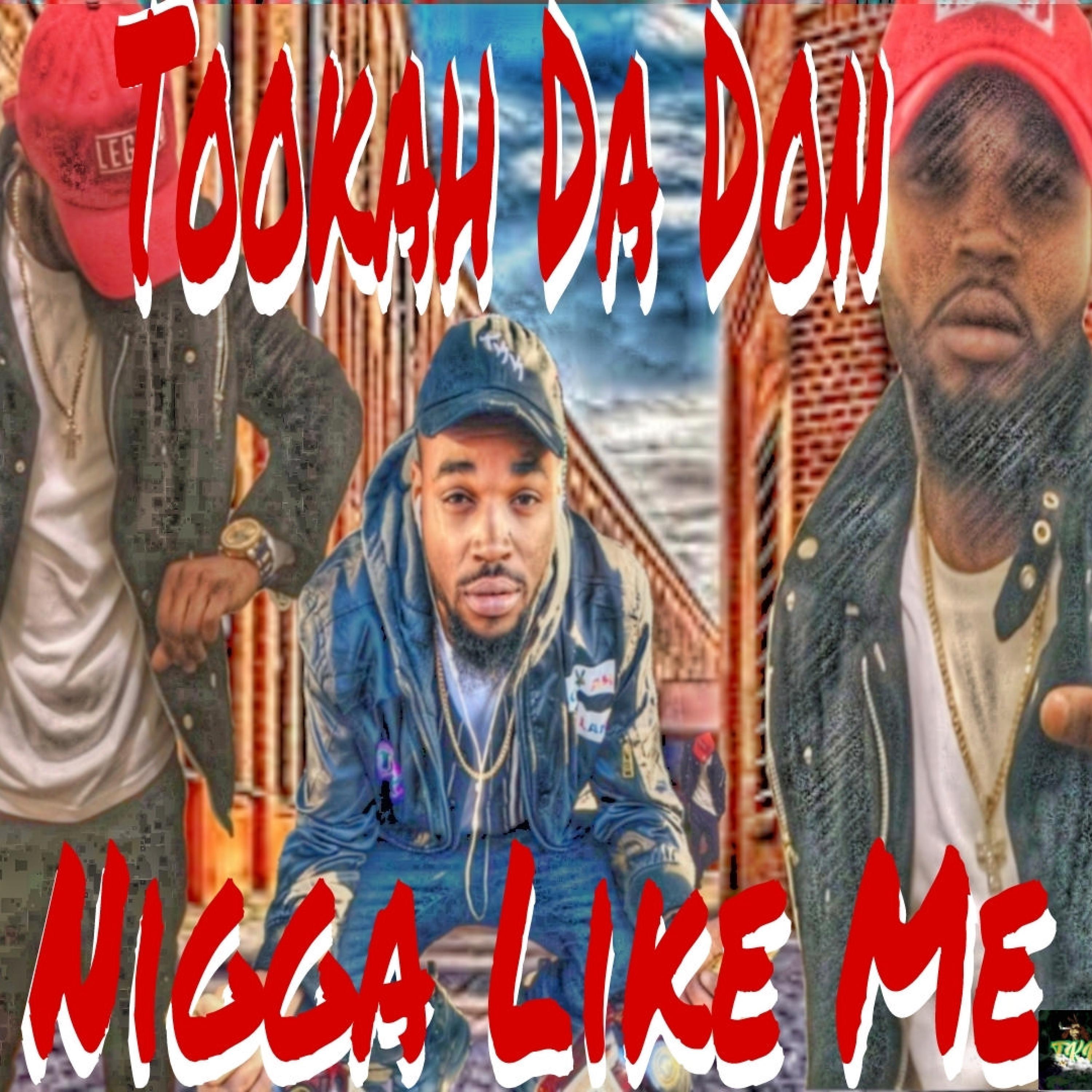 Tookah Da Don - Nigga Like Me