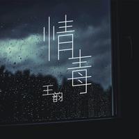 王韵-情毒