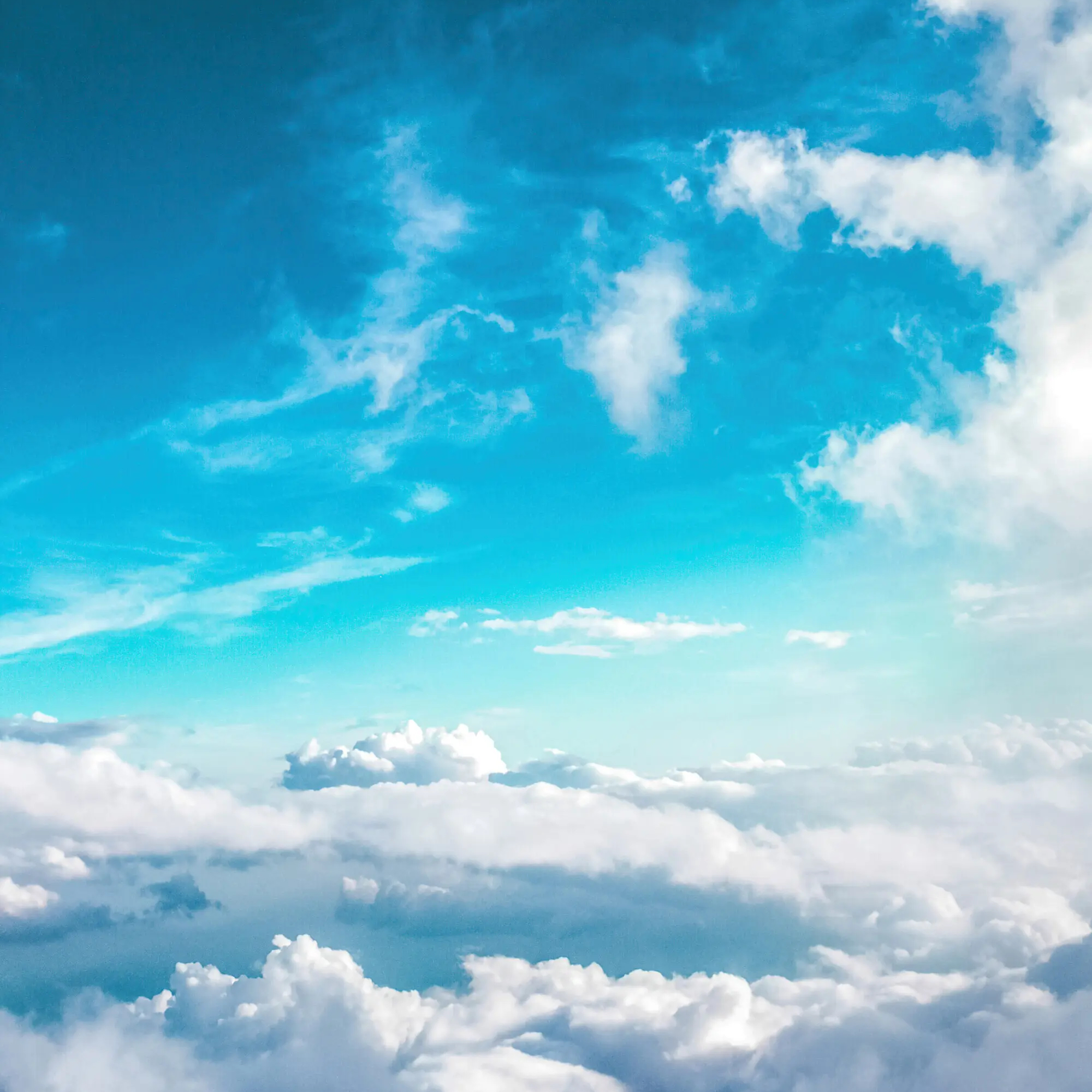 你说你有点难追