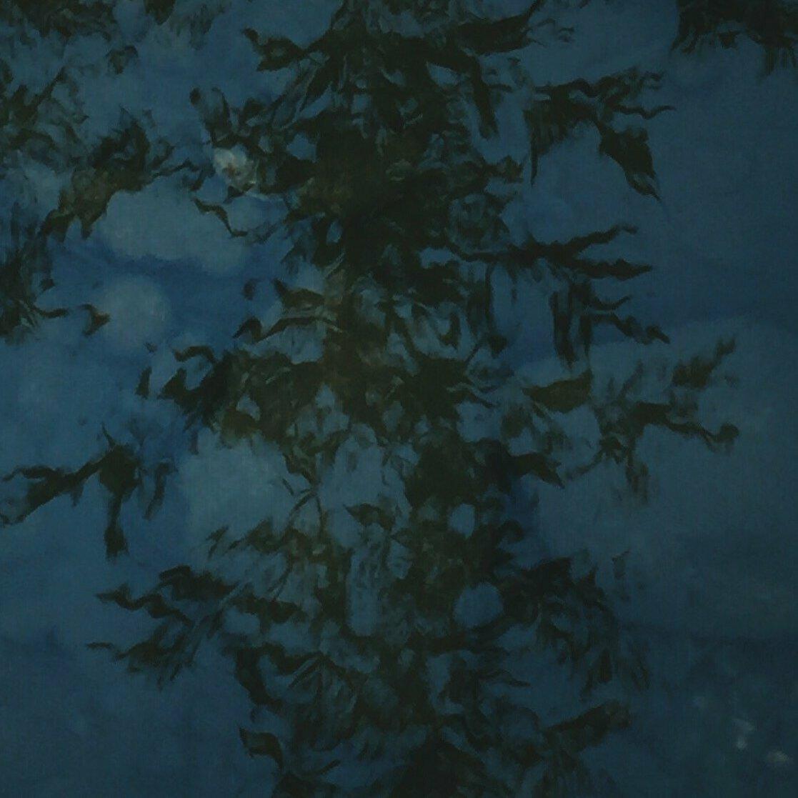Stevie Hoang『l'll Be fine……』