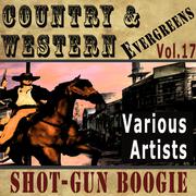Country & Western Evergreens, Vol. 17