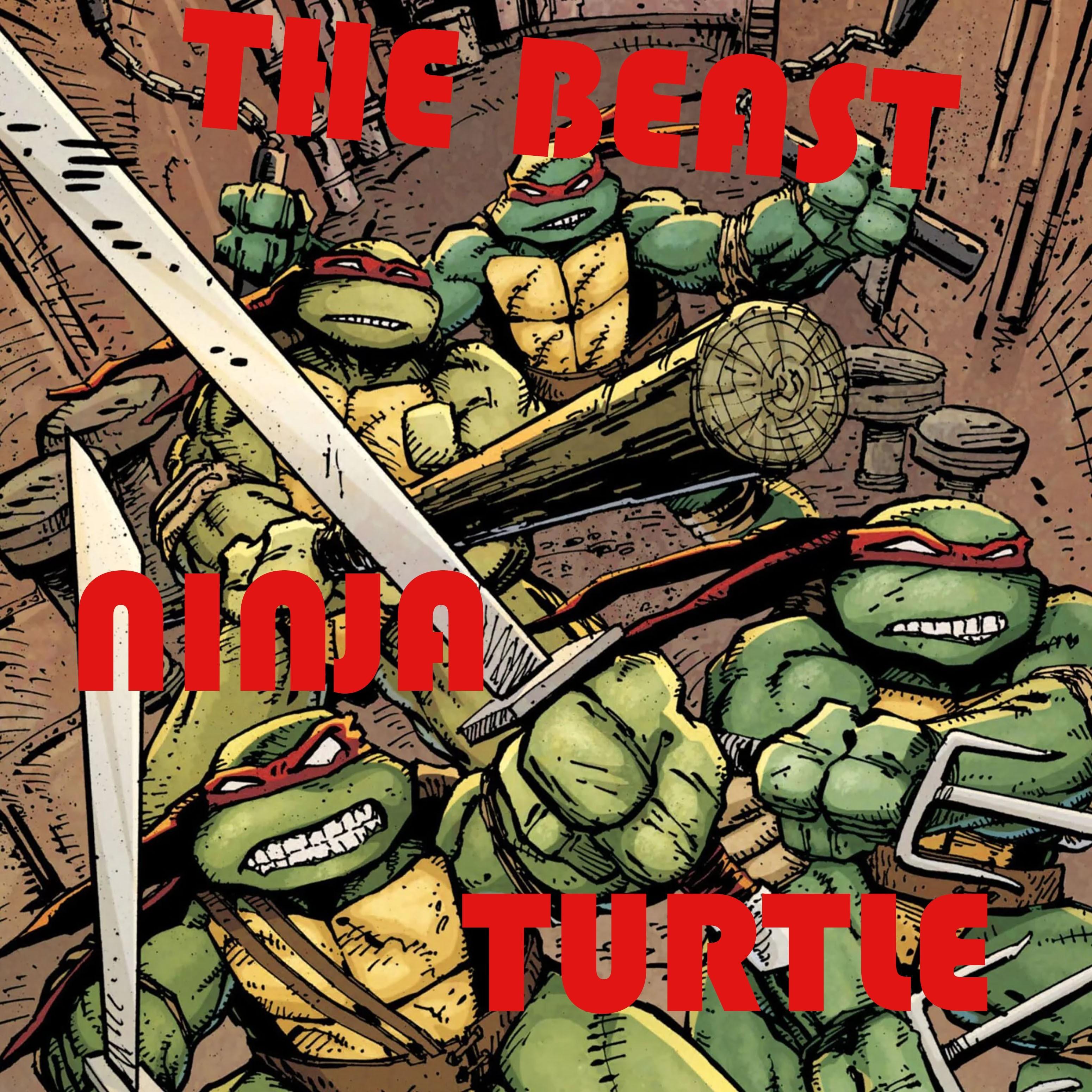 Ninja Turtle
