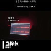 张震岳 E SO - 思念是一种病