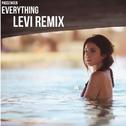Everything (Levi Remix) 专辑