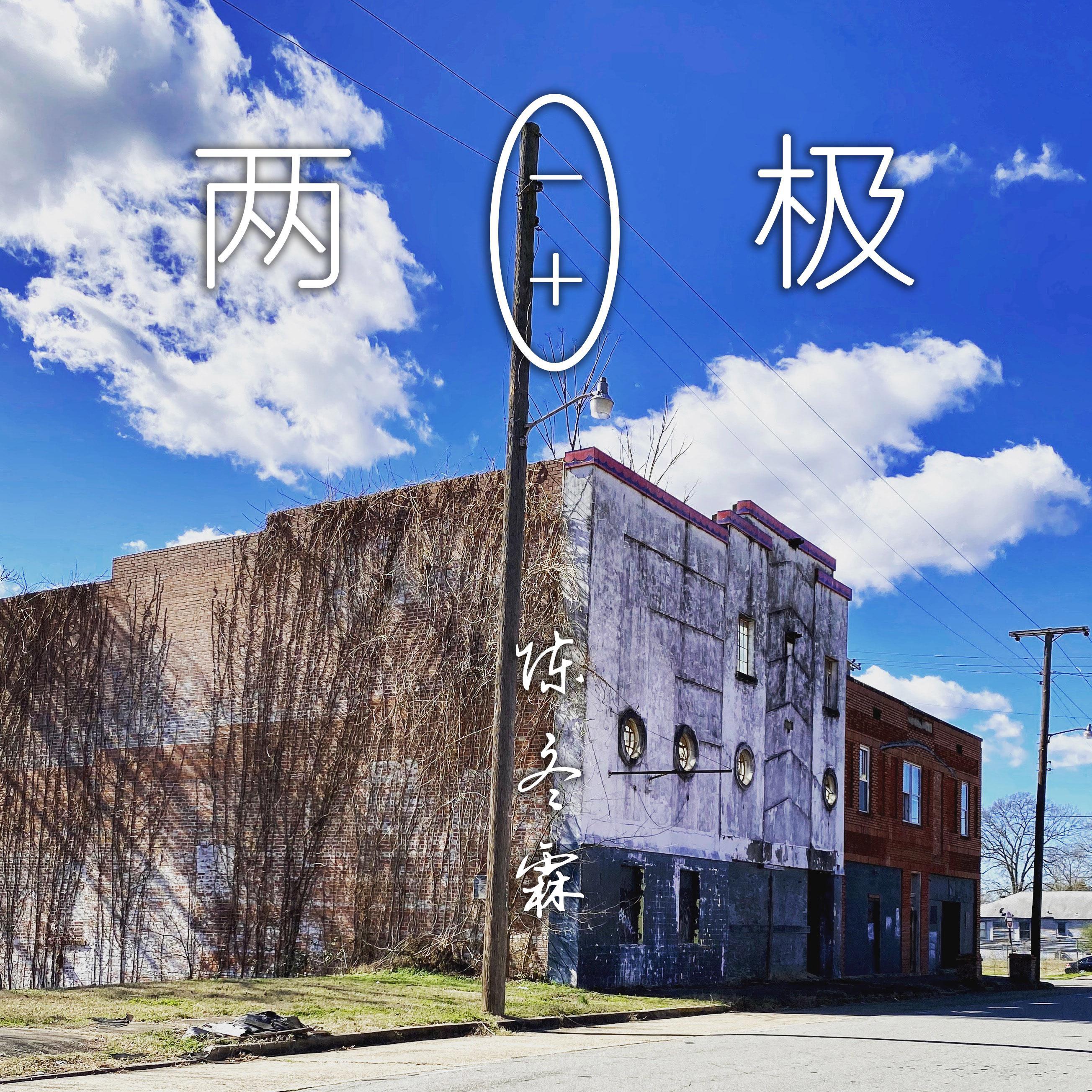 两极