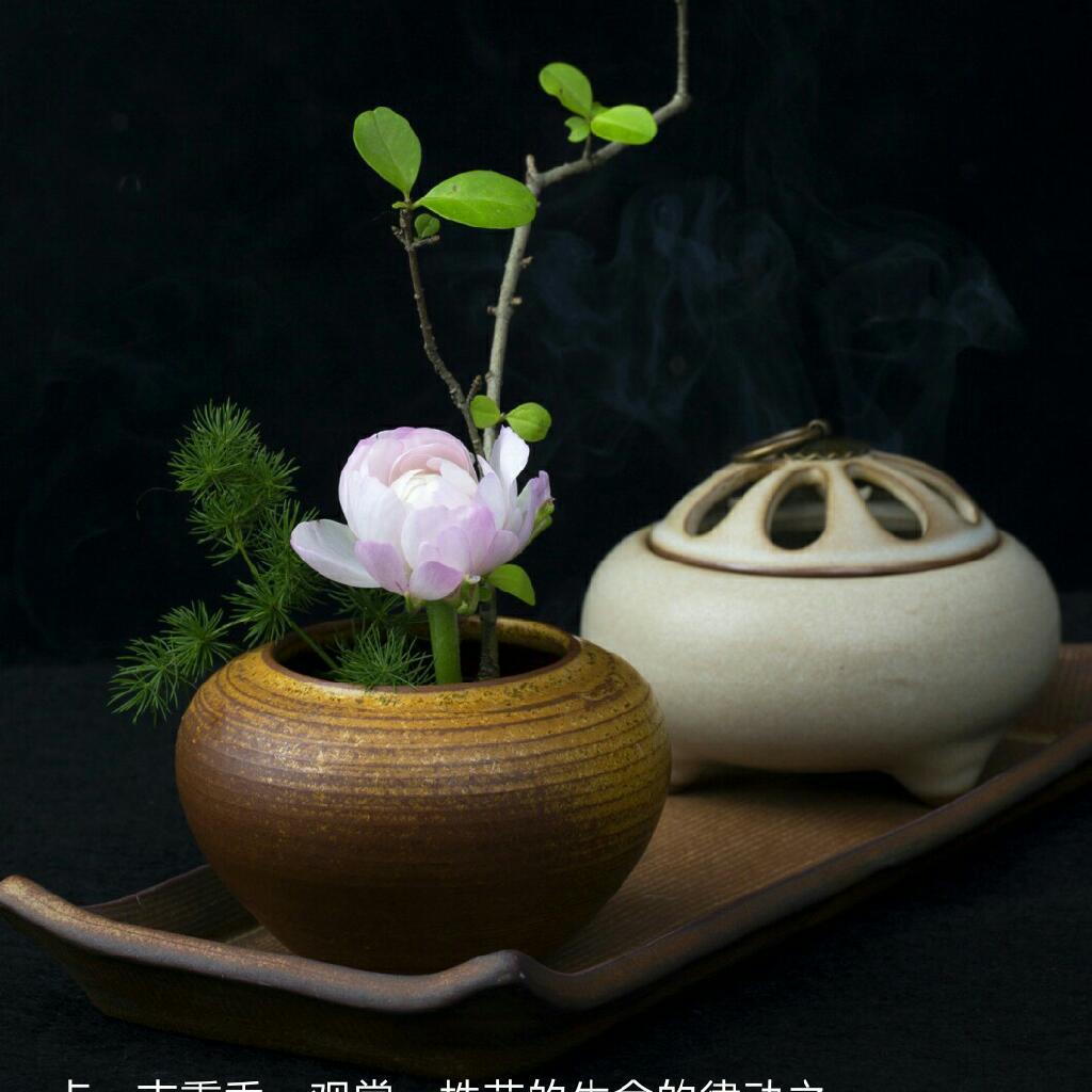 舒缓音乐-极品茶音乐 | 在线播放 | 网易云音乐