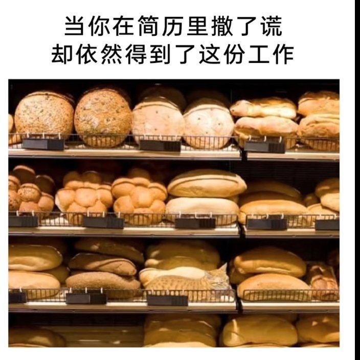 Static「meme」 - 你是来找meme的吧!!!!(含梗图) - 电台节目 - 网易云音乐