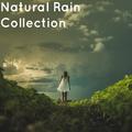 Natural Rain Sounds Collection - for Zen Meditation and Sleep