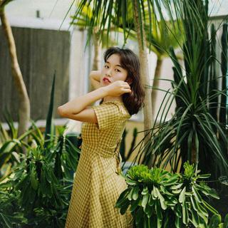 春分 | 好春光不如梦一场，梦里青草香