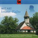 Mozart: Church Sonatas (Sonates d'Eglise)专辑