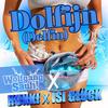 Wolfgang Saufi - Dolfijn (Delfin)