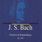 Brandenburg Concerto No. 4 in G Major, BWV 1049: II. Andante