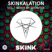 Skinkalation, Vol. 1