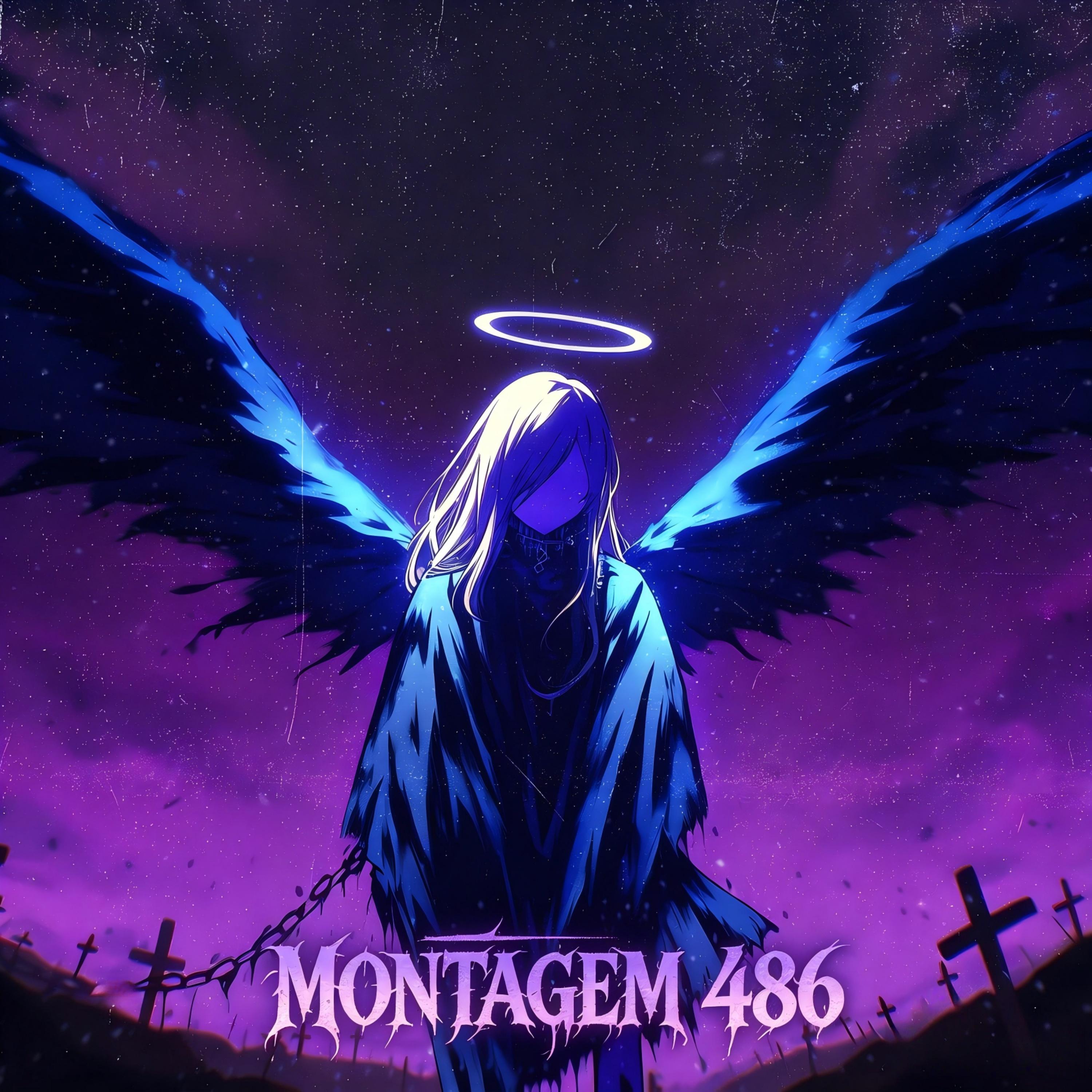 MONTAGEM 486