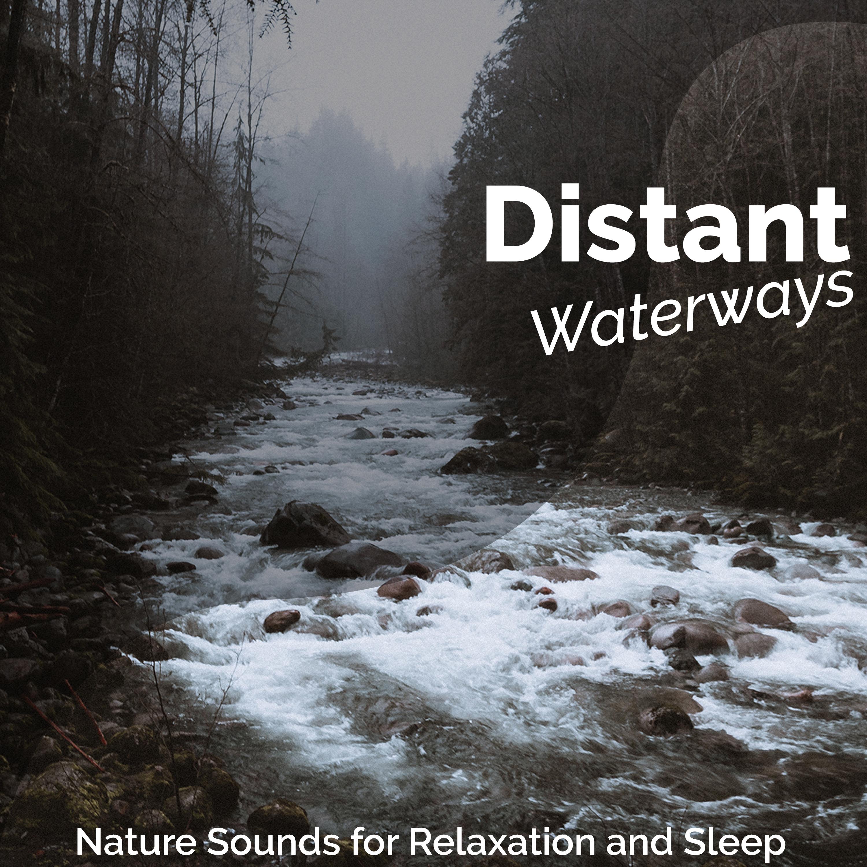 Nature Sounds for Relaxation and Sleep - Woodlands Evening Rain