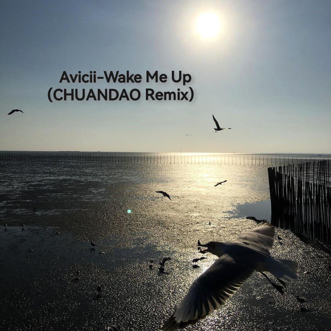 川檤 - Avicii-Wake Me Up (CHUANDAO Remix)