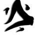 きくお