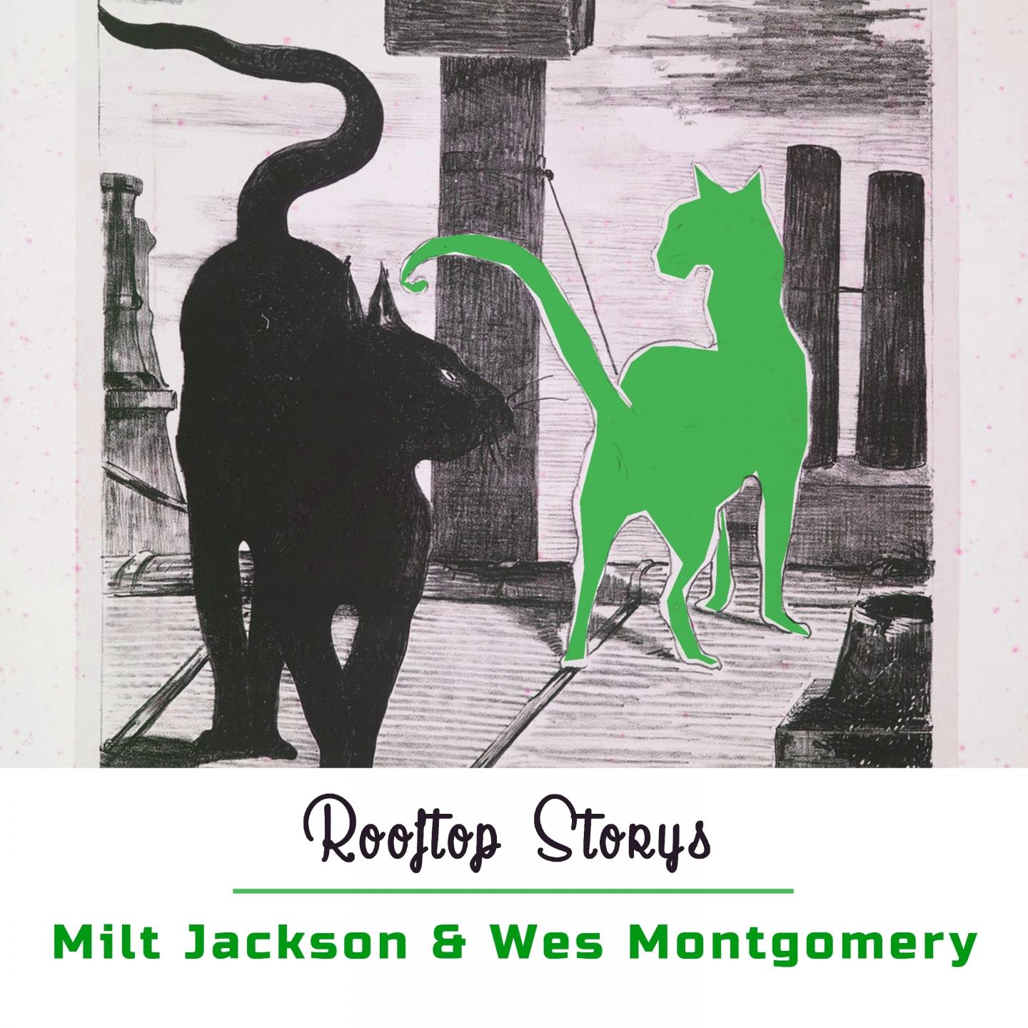 Rooftop Storys