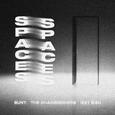 Spaces