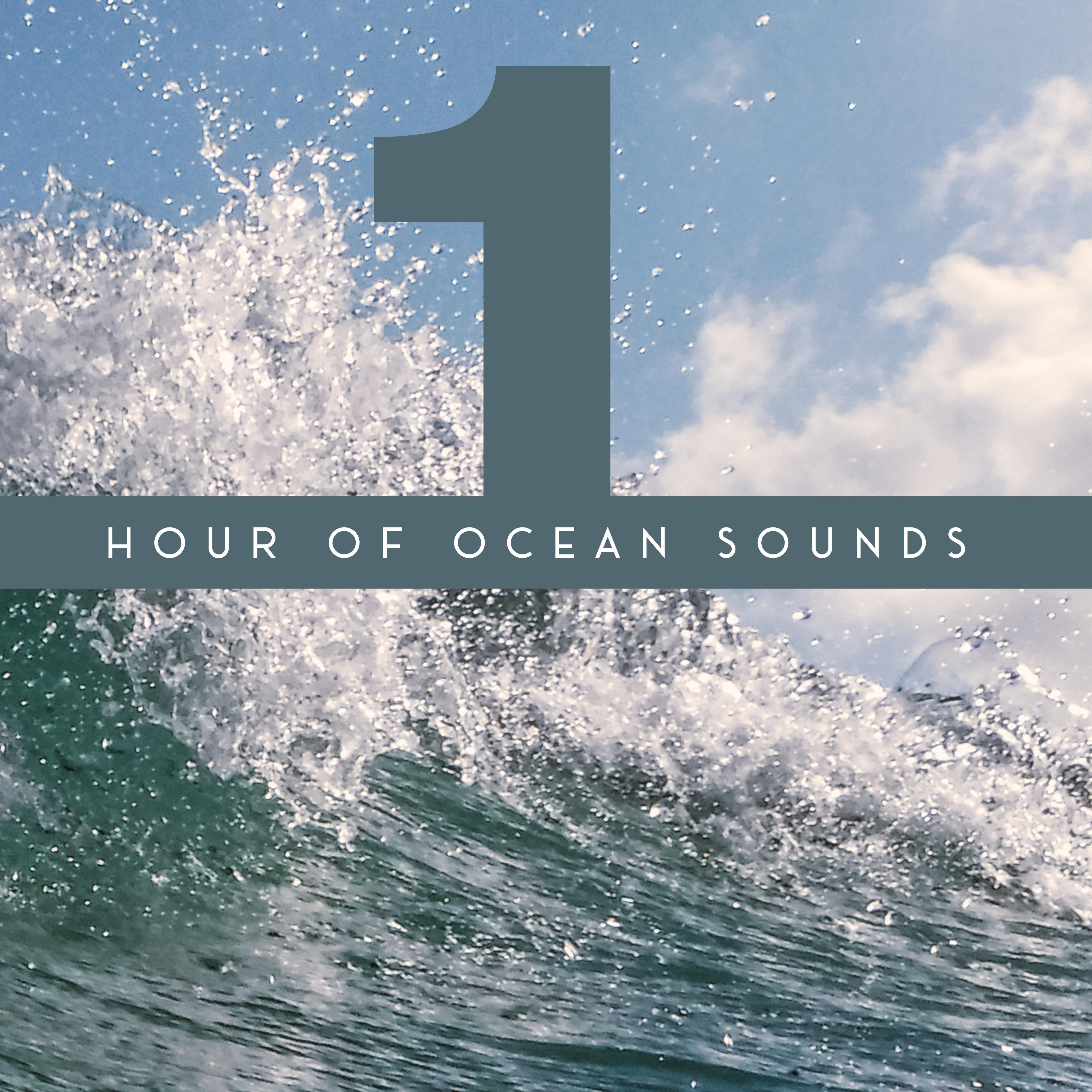 1 Hour of Ocean Sounds - Collection of Majestic Wave Sounds, Perfect New Age Background for Meditation, Relaxation, Sleep and Study